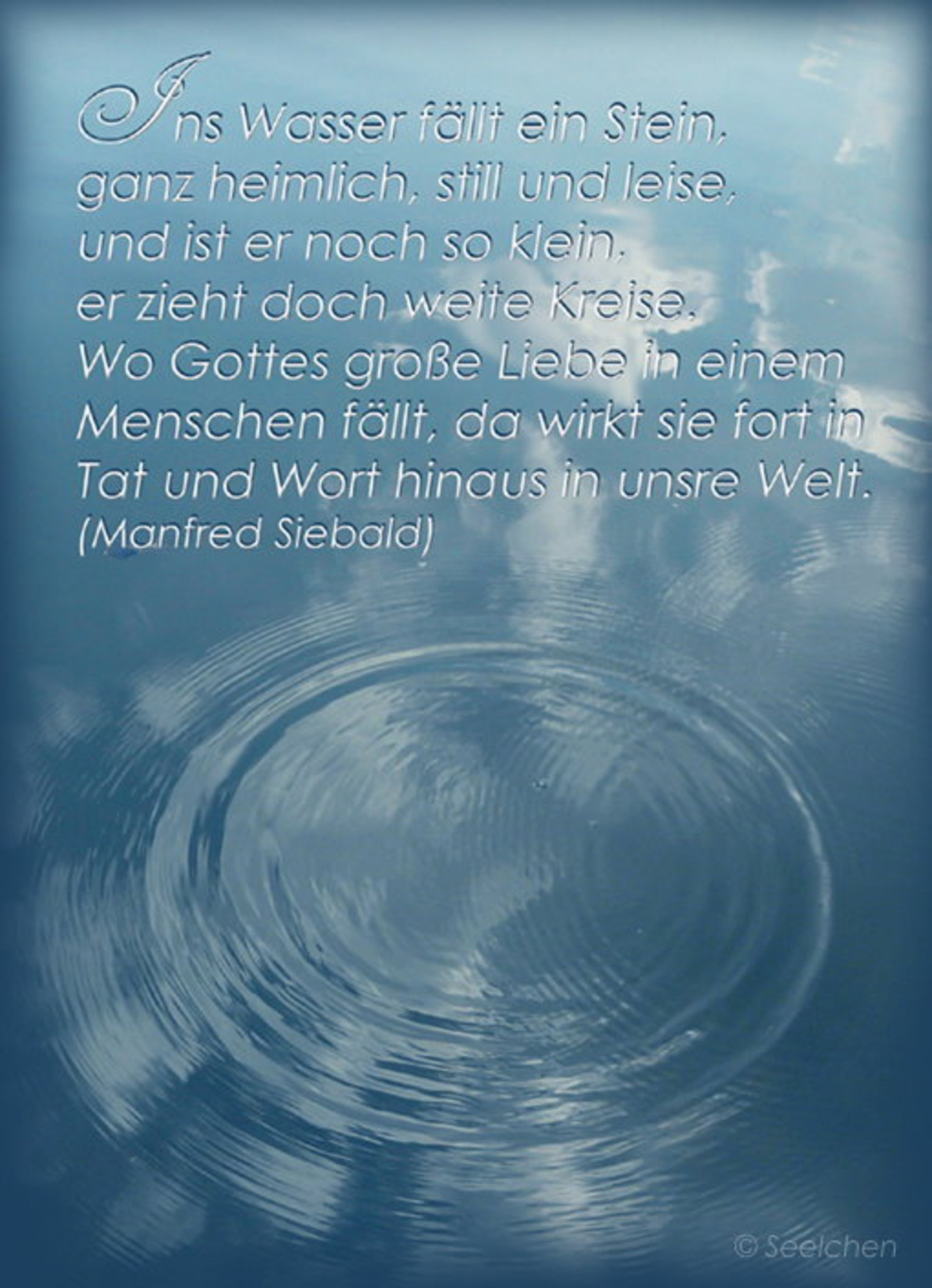 4307437 XXL 1