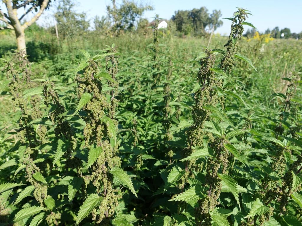 K1024 475136863 9389206427785250 8121150464640819396 n