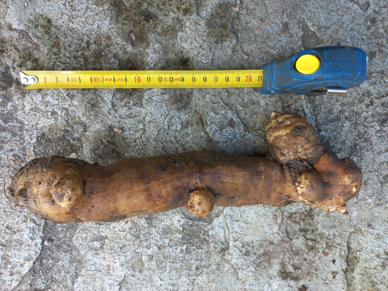 photo 2024 02 14 11 11 24