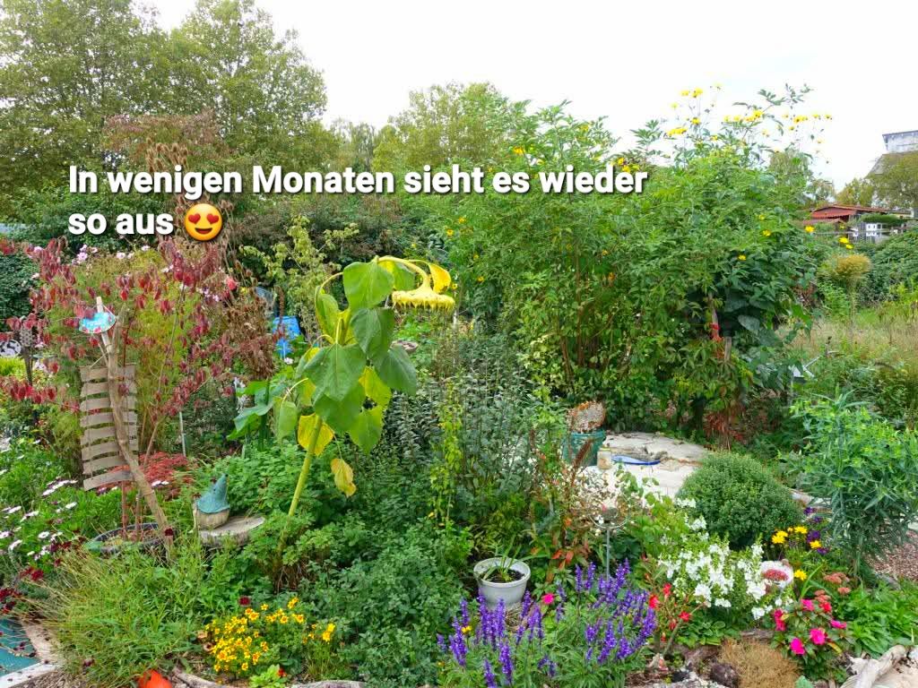 622359204 10240364014706334 8965600172887808384 n